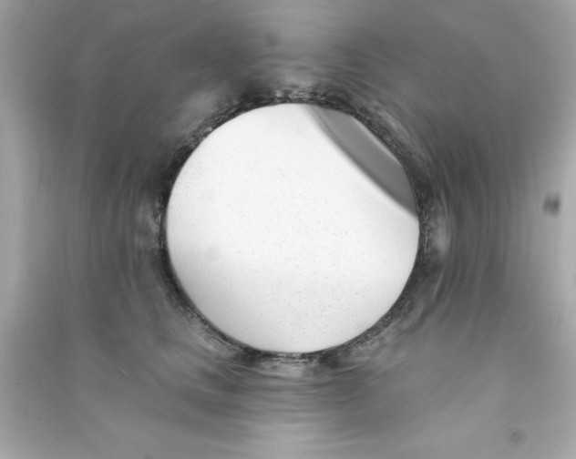 X0000090480661200708102158