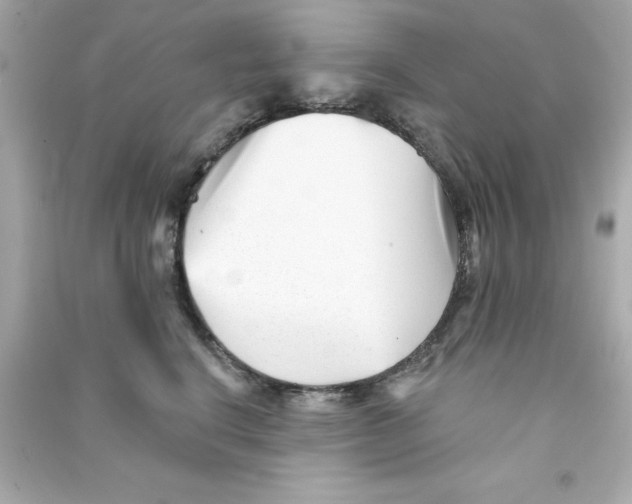 X0000090480664200708102158