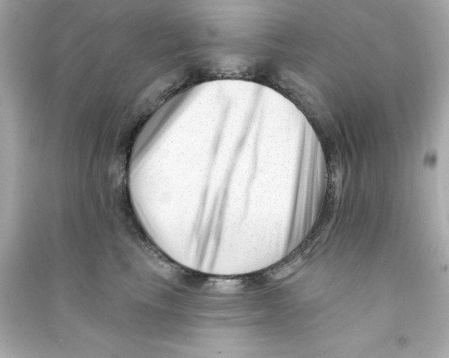 X0000090480665200708102158