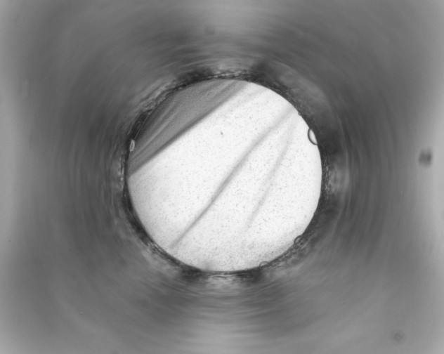 X0000090480666200708102158