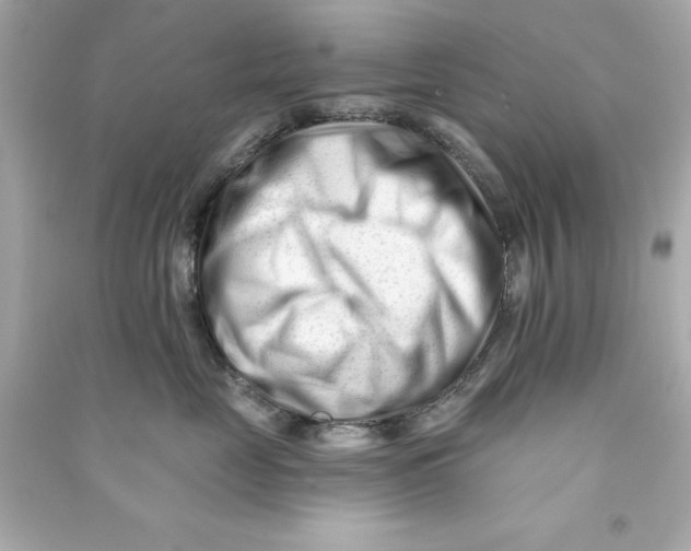 X0000090480669200708102158