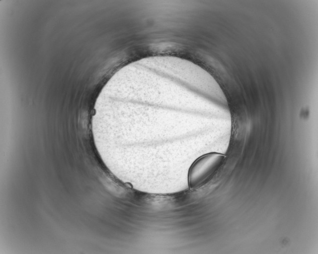 X0000090480670200708102158