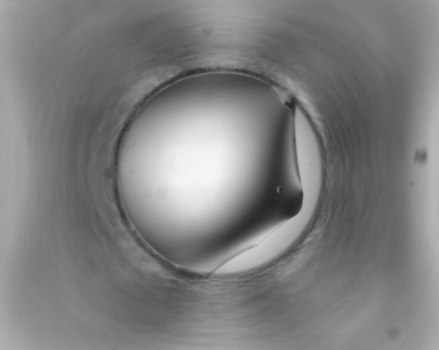 X0000090480673200708102157