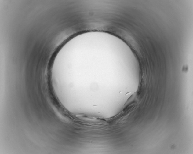 X0000090480674200708102157