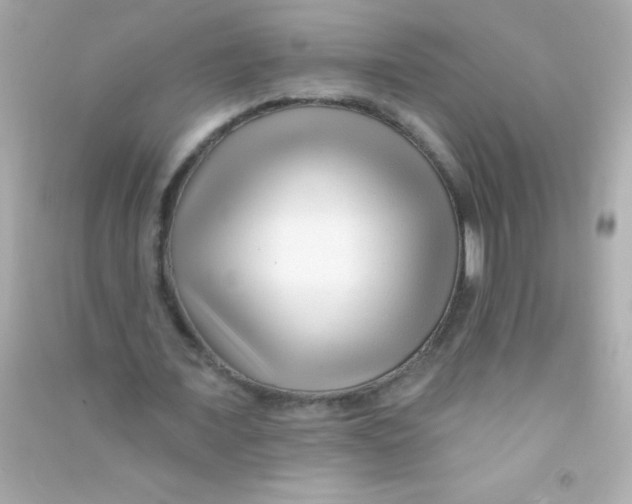 X0000090480675200708102157
