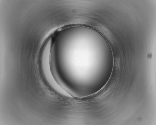 X0000090480676200708102157