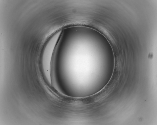 X0000090480677200708102157