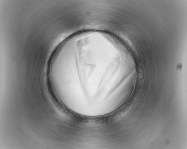 X0000090480678200708102157