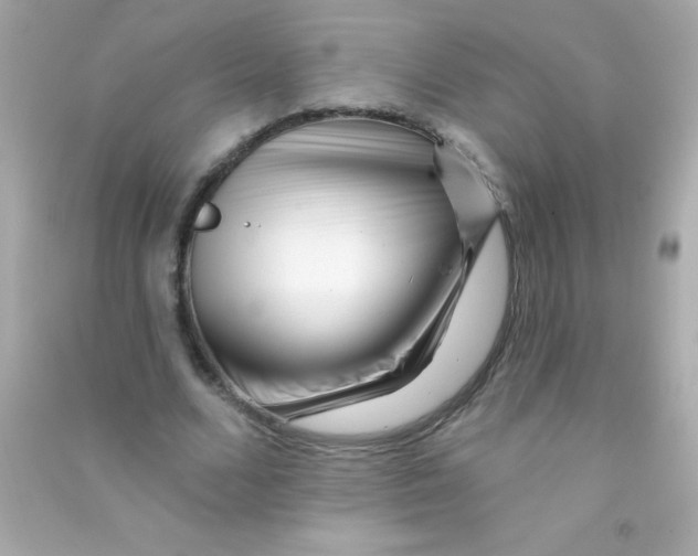 X0000090480680200708102157
