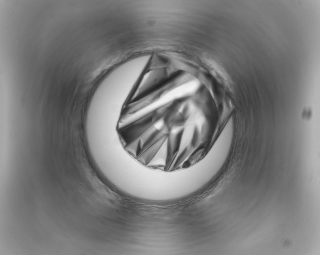 X0000090480681200708102157
