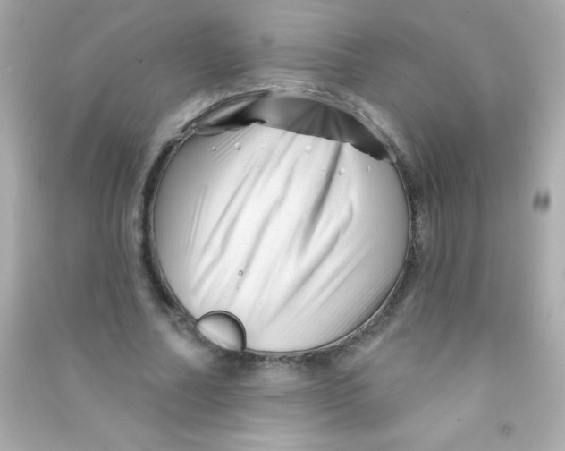 X0000090480682200708102157