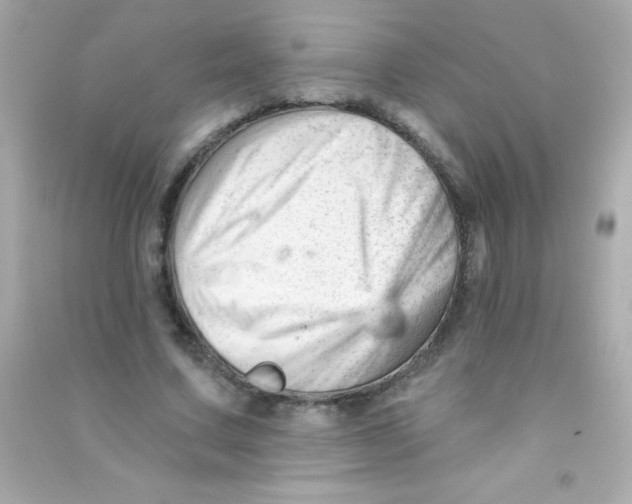 X0000090480683200708102157
