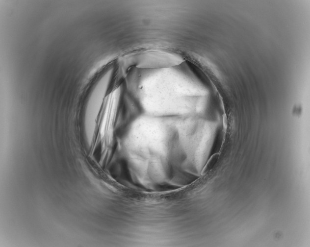X0000090480684200708102157
