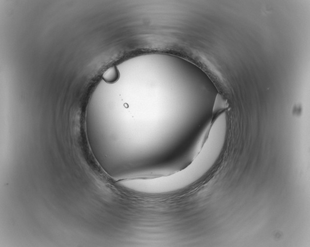 X0000090480685200708102157