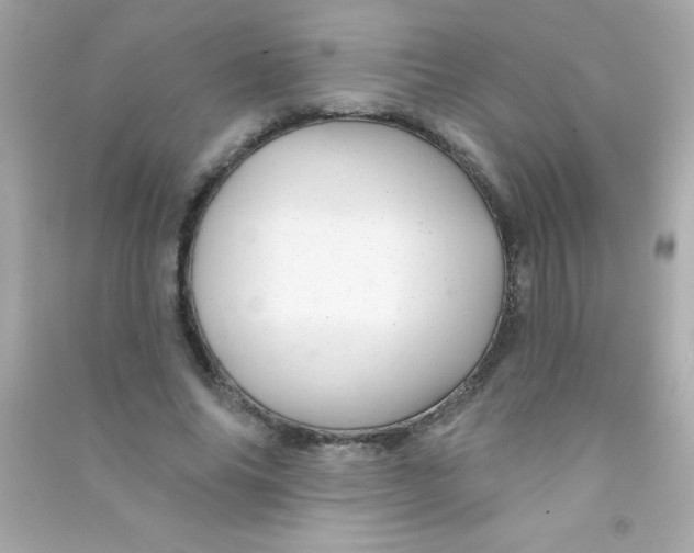 X0000090480686200708102157