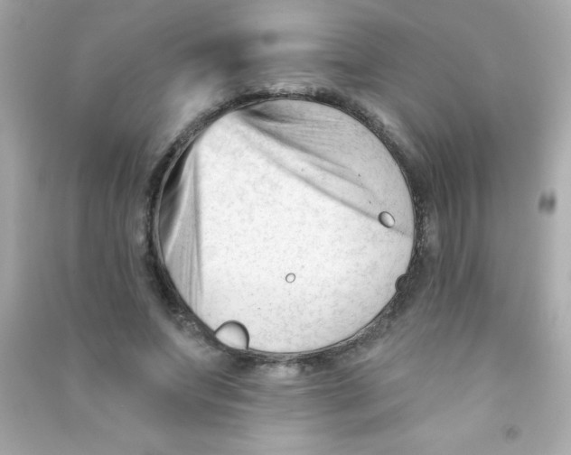 X0000090480687200708102157