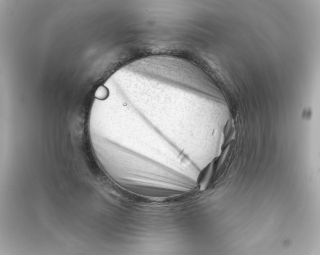 X0000090480691200708102157