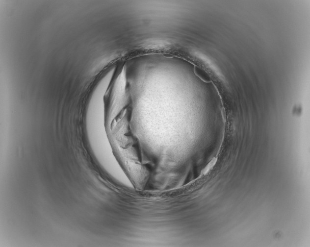 X0000090480692200708102157