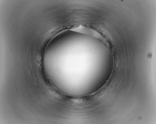 X0000090480693200708102157