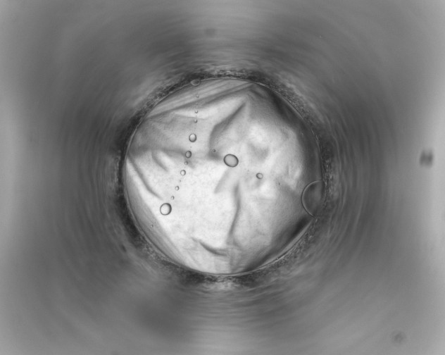 X0000090480695200708102157