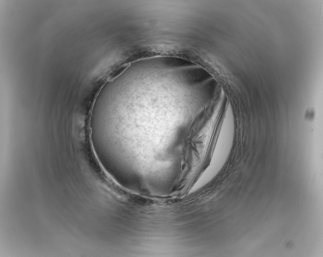 X0000090480696200708102157