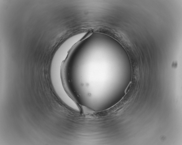 X0000090480697200708102157