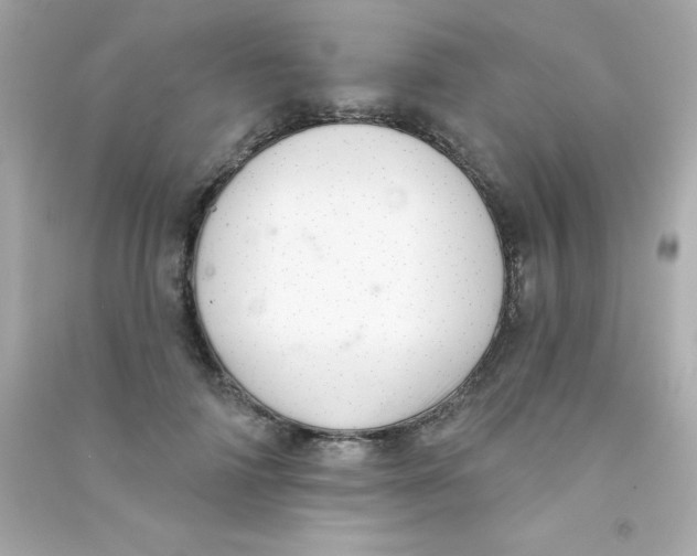 X0000090480698200708102157