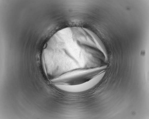 X0000090480699200708102157