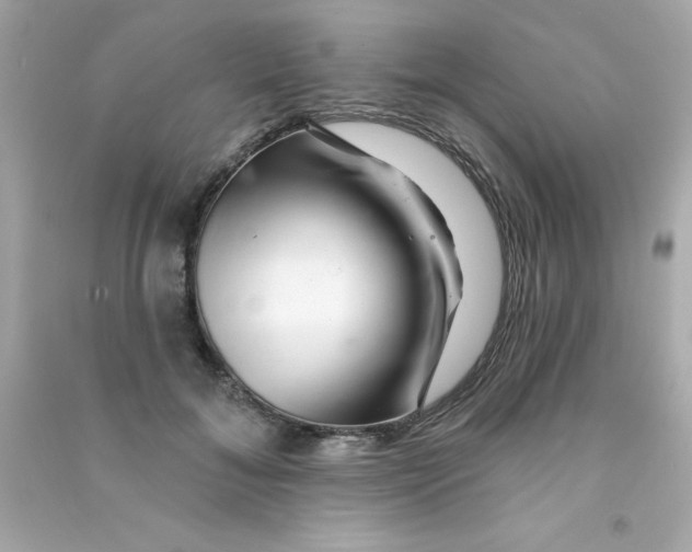X0000090480700200708102157
