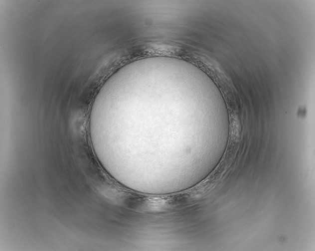 X0000090480701200708102157