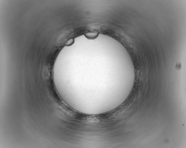 X0000090480702200708102157