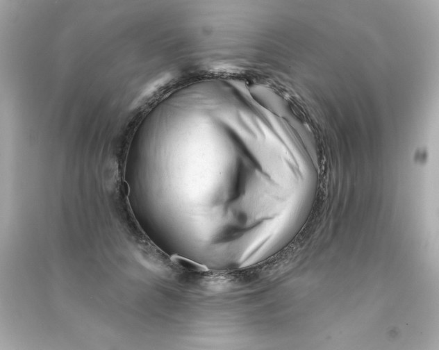 X0000090480704200708102157