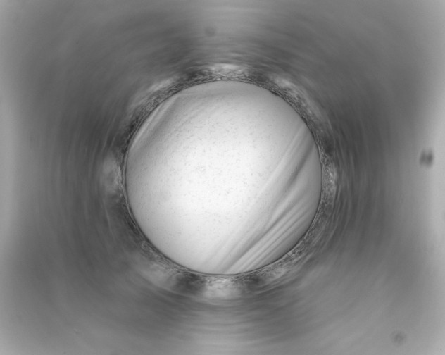 X0000090480705200708102157