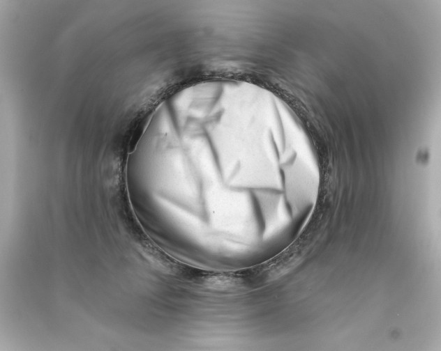 X0000090480708200708102157