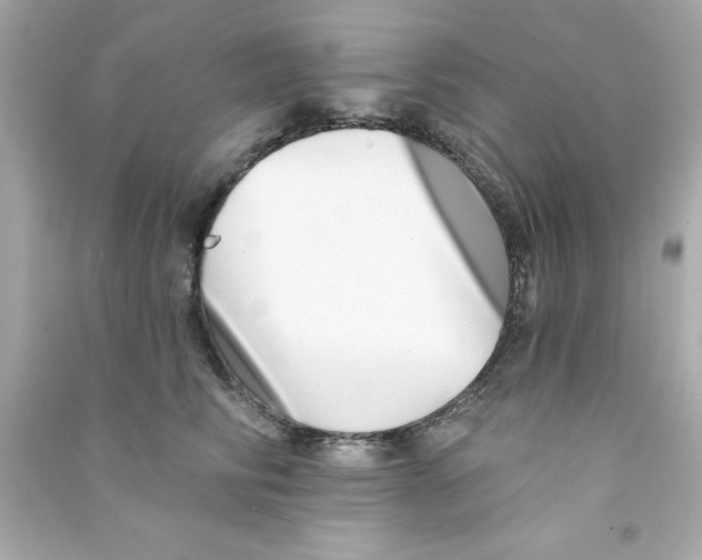 X0000090480710200708102157