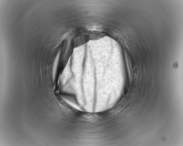 X0000090480712200708102157