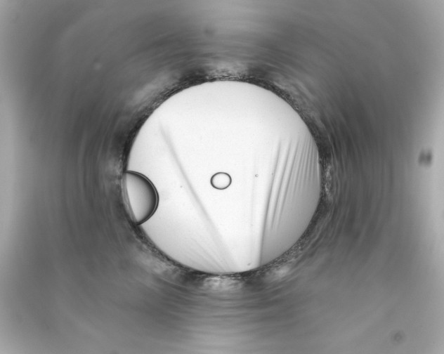 X0000090480714200708102157