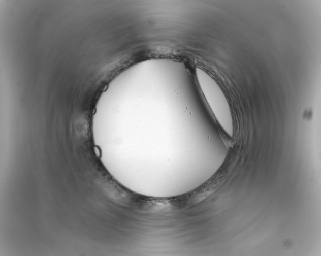 X0000090480715200708102157