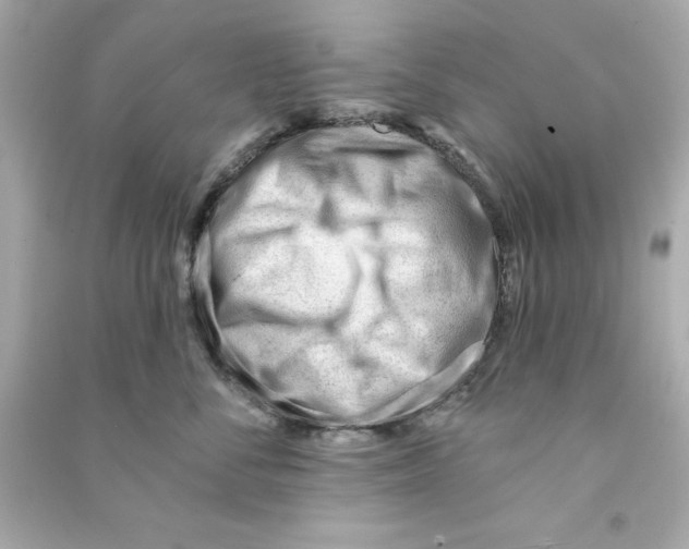 X0000090480716200708102157