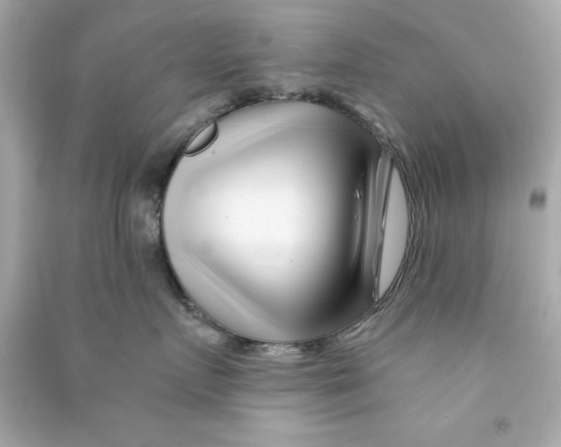 X0000090480719200708102157