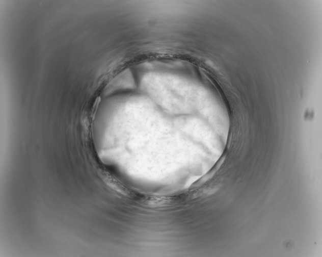 X0000090480720200708102157