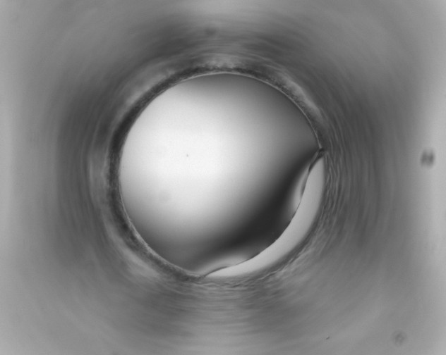 X0000090480722200708102156