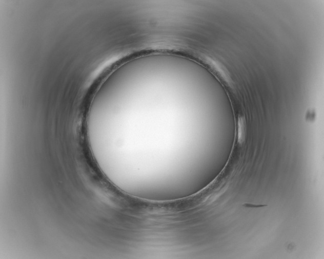 X0000090480723200708102156
