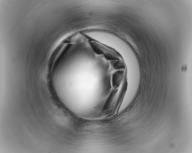 X0000090480724200708102156
