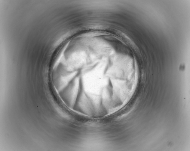 X0000090480725200708102156