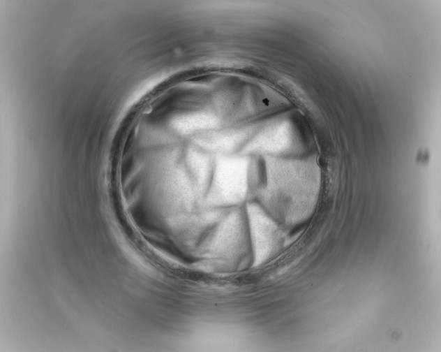 X0000090480726200708102156