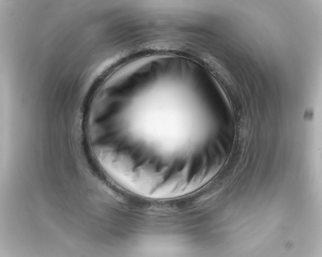 X0000090480727200708102156