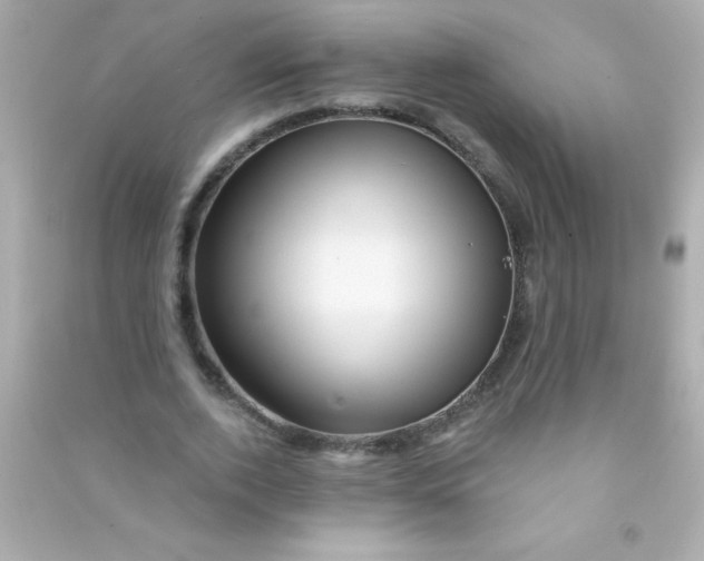 X0000090480728200708102156