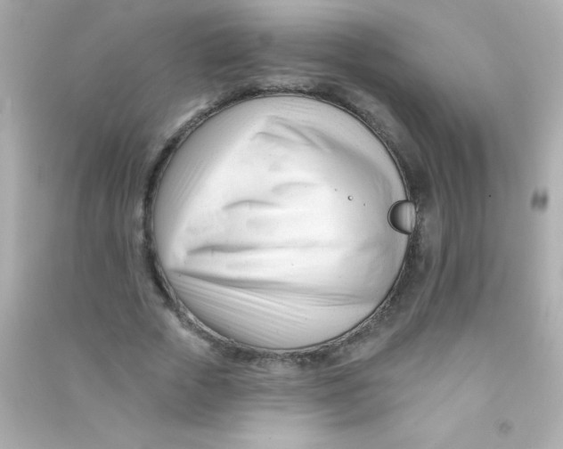 X0000090480729200708102156