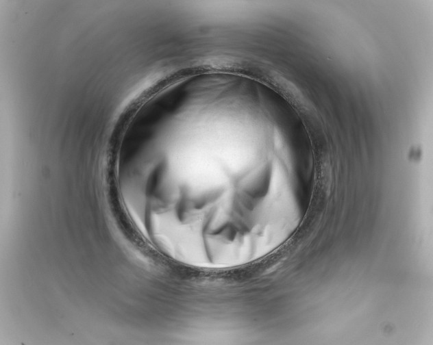 X0000090480730200708102156